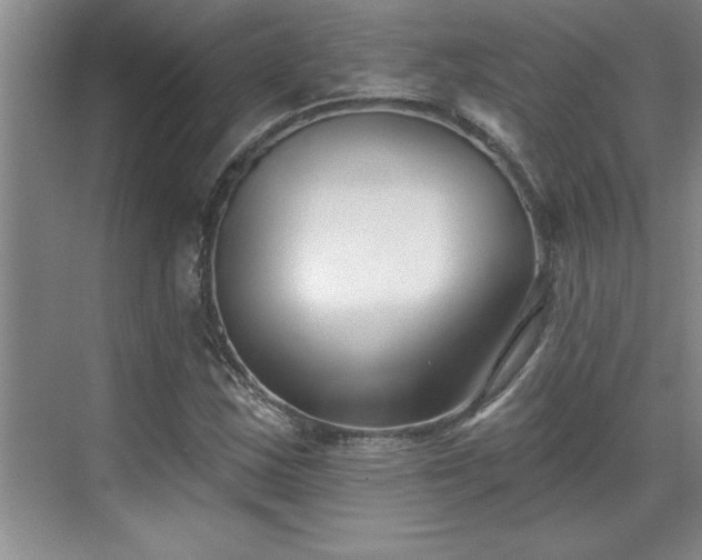 X0000069821163200605221223