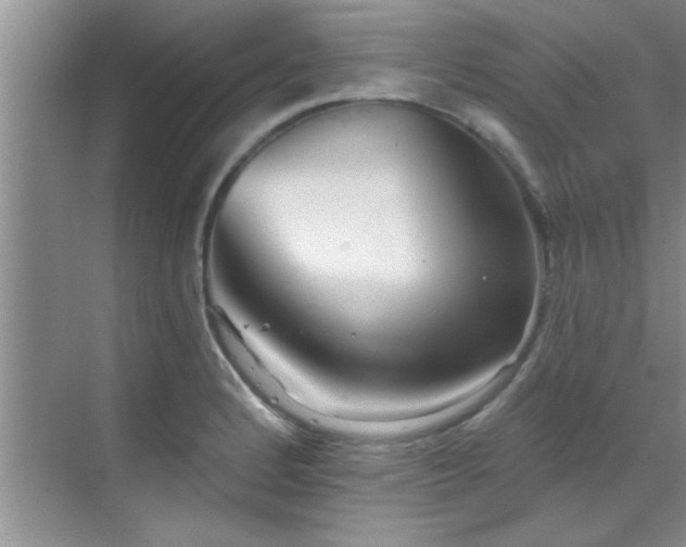 X0000069821184200605221222