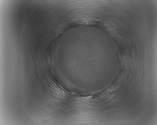 X0000069821202200605221221