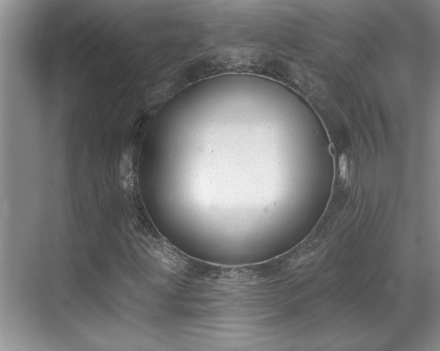 X0000069821203200605221221