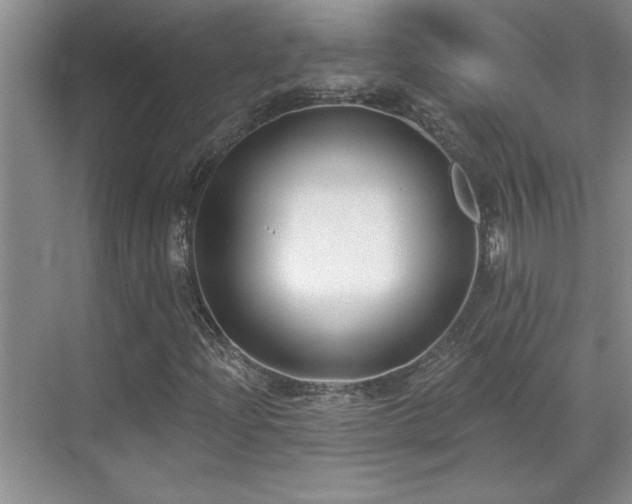 X0000069821204200605221221