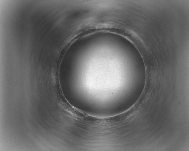 X0000069821217200605221221