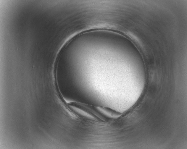 X0000069821230200605221222