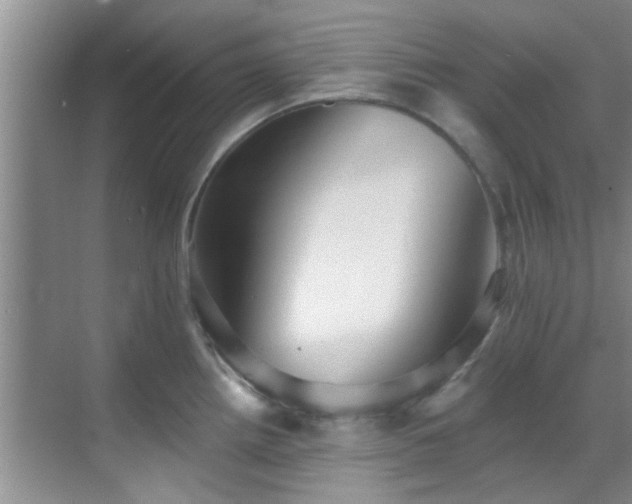 X0000069821242200605221222