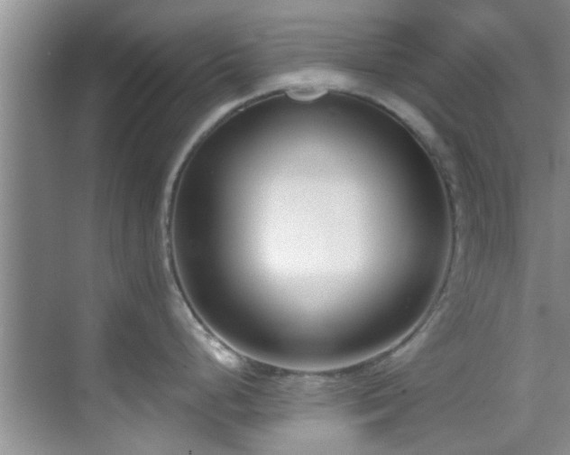 X0000069821248200605221222