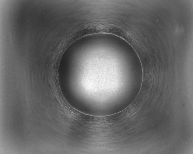 X0000069821249200605221221