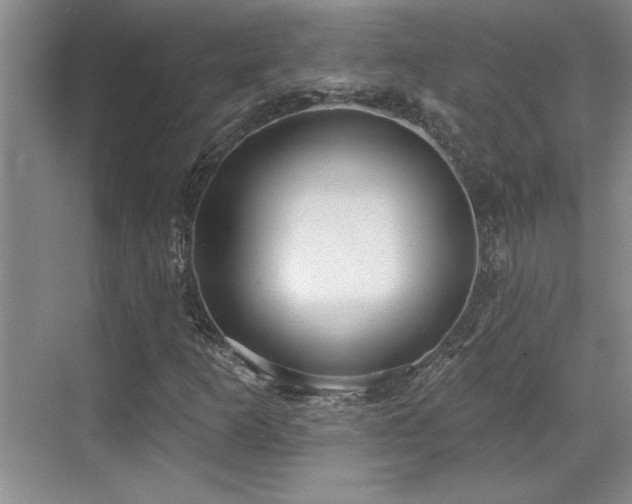 X0000069821253200605221221