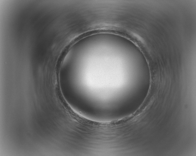 X0000069821267200605221221