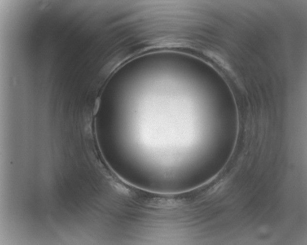 X0000069821273200605221221