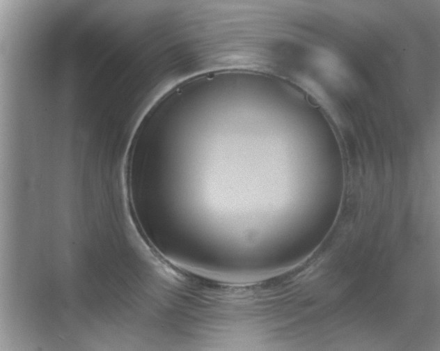 X0000069821291200605221220