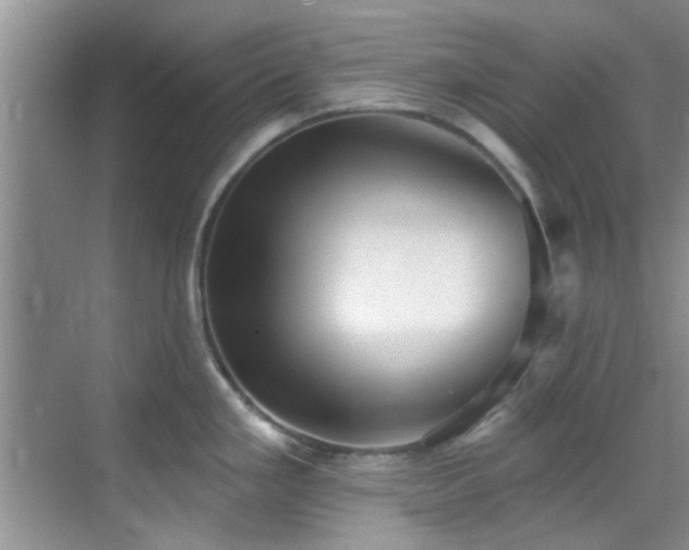 X0000069821293200605221220