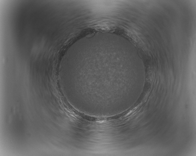 X0000069821297200605221219