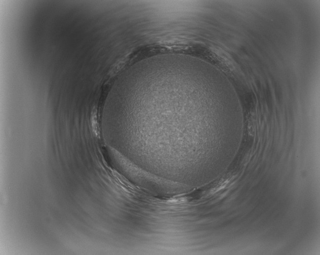 X0000069821298200605221220