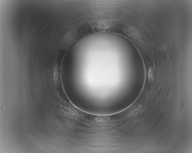 X0000069821299200605221220