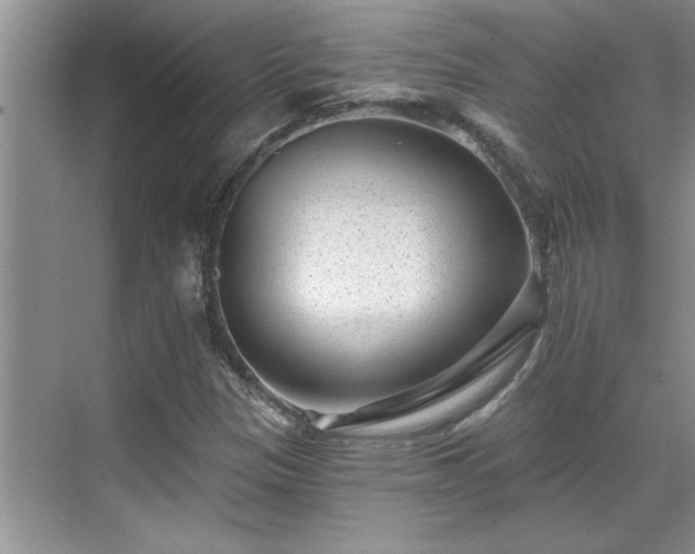 X0000069821305200605221220