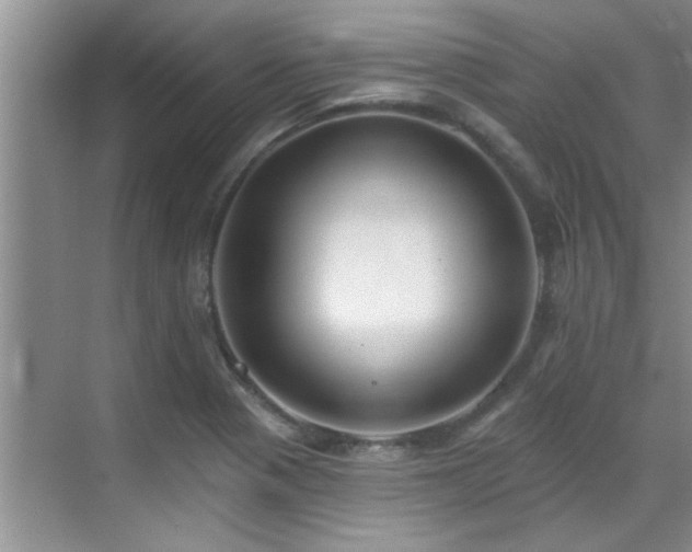 X0000069821321200605221220