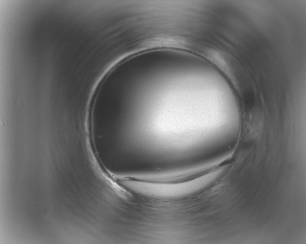 X0000069821339200605221220