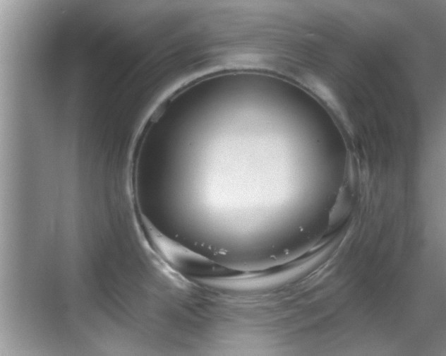 X0000069821342200605221220