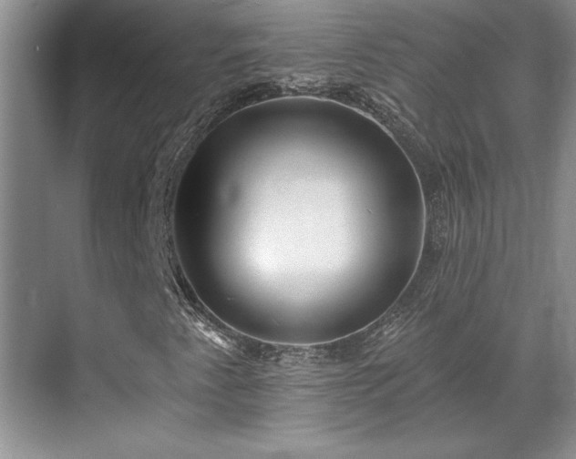 X0000069821345200605221219