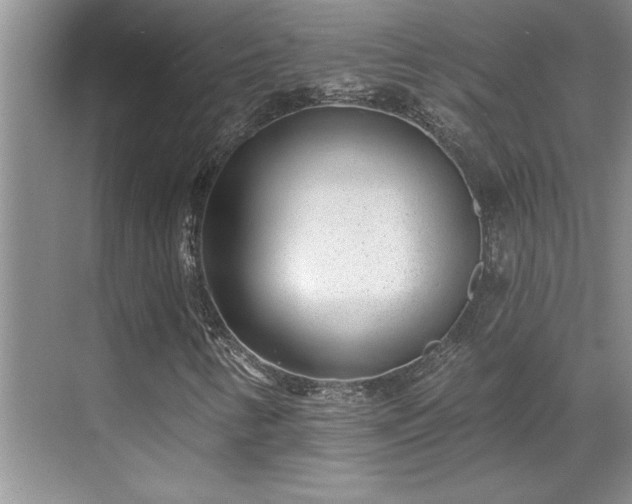 X0000069821346200605221219