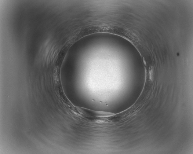 X0000069821347200605221219