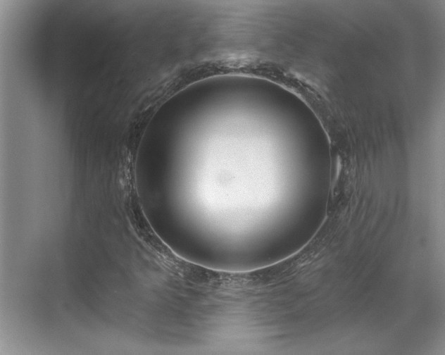 X0000069821349200605221219