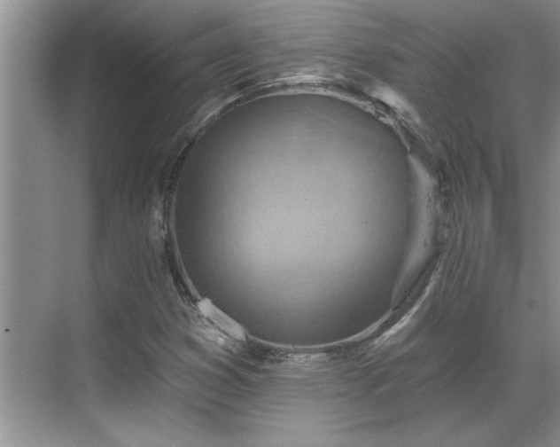X0000069821353200605221219