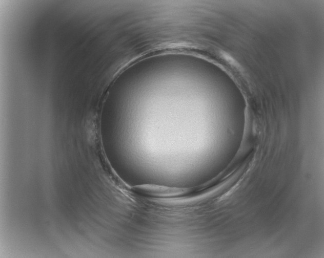 X0000069821361200605221219