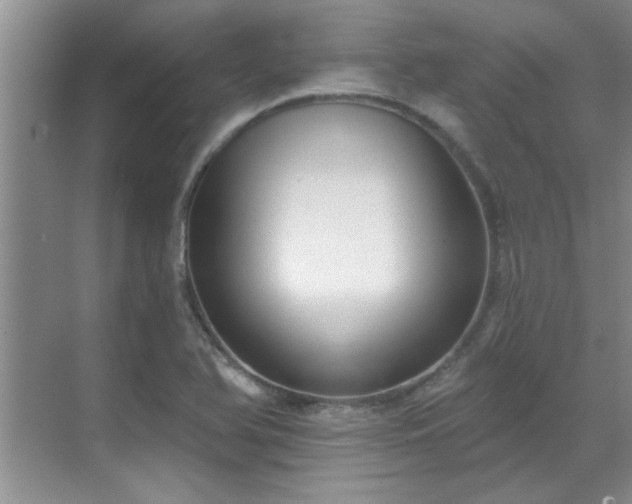 X0000069821366200605221219