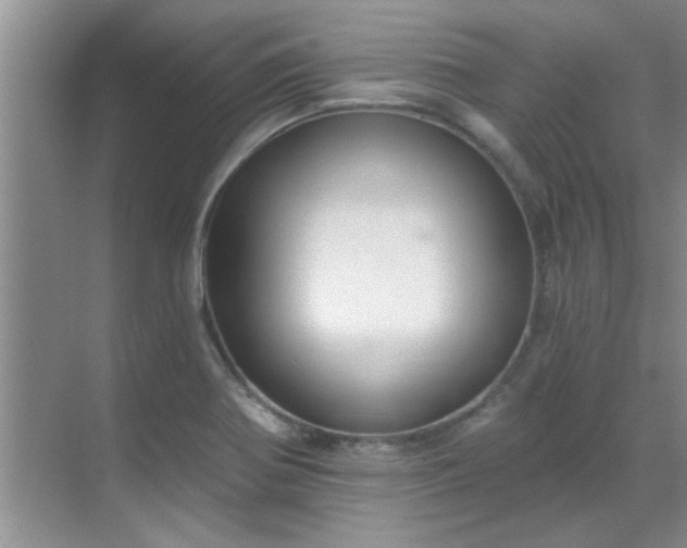 X0000069821370200605221219