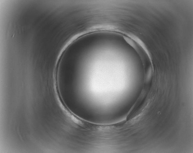 X0000069821389200605221219