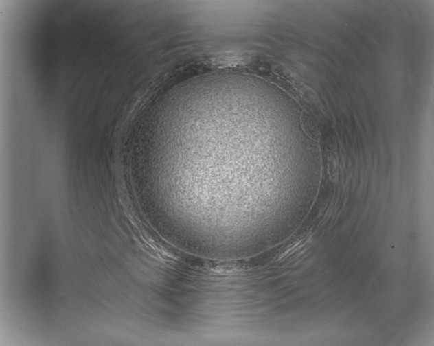 X0000069821393200605221218