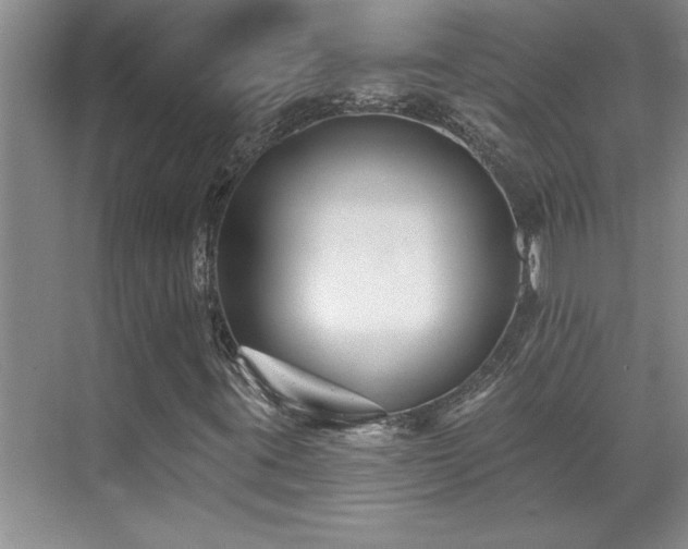 X0000069821395200605221218