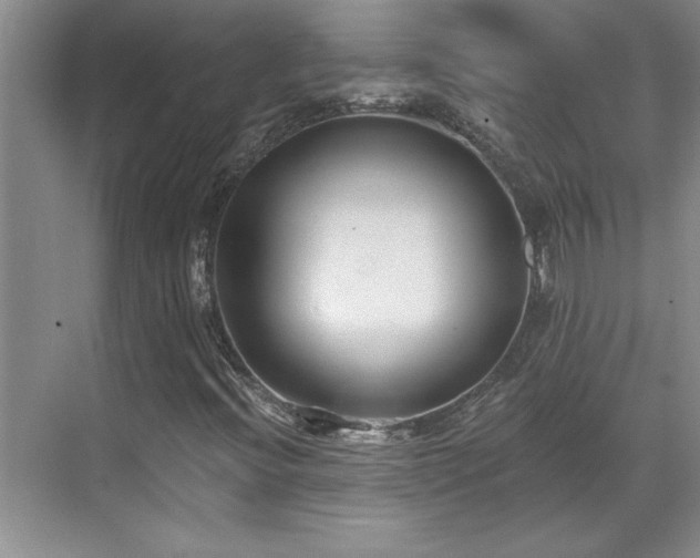X0000069821396200605221218