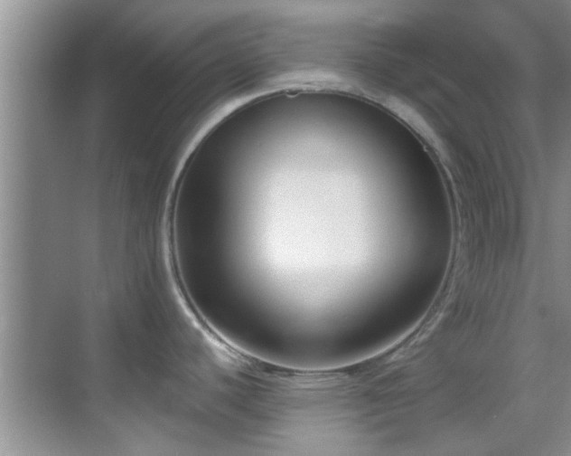 X0000069821440200605221219