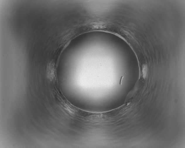 X0000069821444200605221218