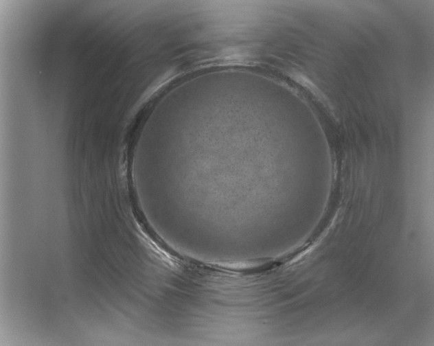 X0000069821450200605221218