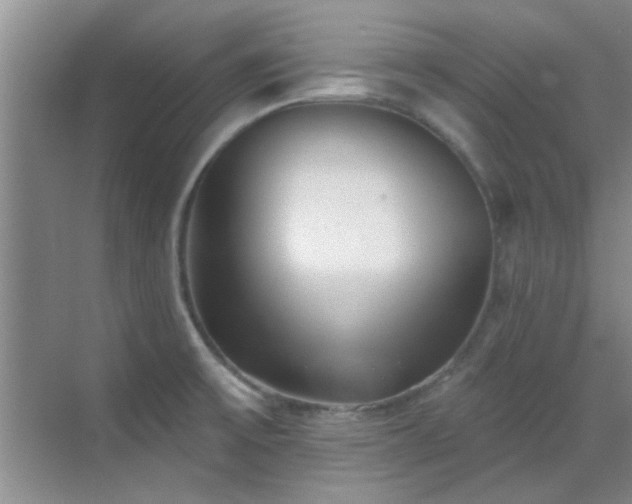 X0000069821475200605221217