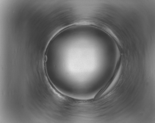 X0000069821484200605221217