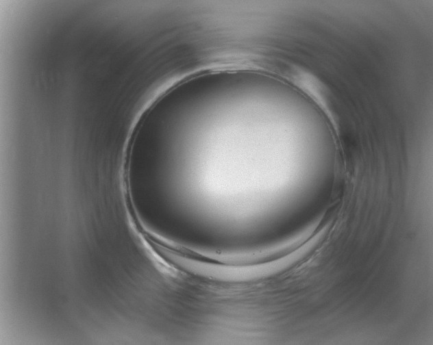 X0000069821485200605221217