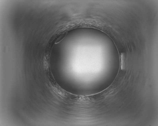 X0000069821491200605221216