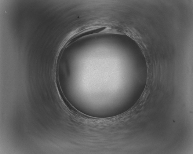 X0000069820003200605261826
