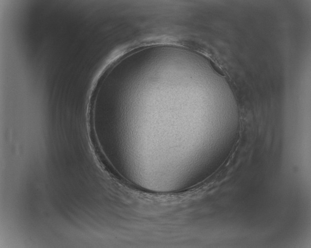 X0000069820006200605261826