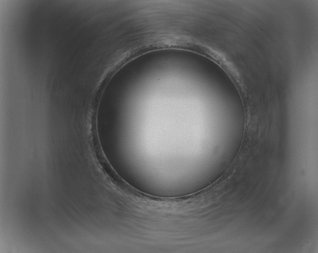 X0000069820010200605261826