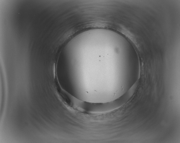 X0000069820013200605261826