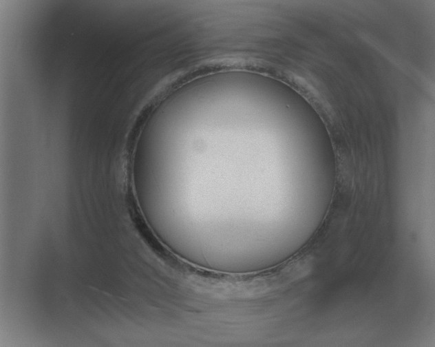 X0000069820016200605261826