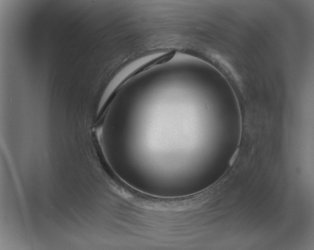 X0000069820017200605261826