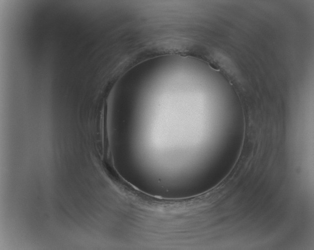 X0000069820021200605261826