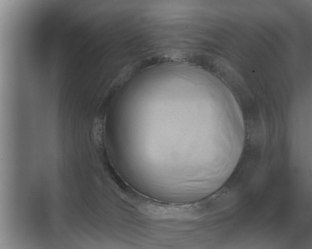 X0000069820036200605261826