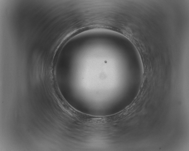 X0000069820050200605261825